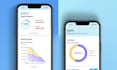 develop a debt payoff app like payoff planner, undebt it and debt payoff assist