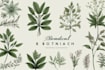 design a custom botanical logo