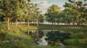 create a professional environmental concept art