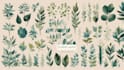 design a boho, botanical logo with a brand guide