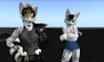 design 3d furry avatar vrchat character design rigging 3d model vrc avatar