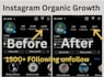 do instagram organic promotion real and targeted audience