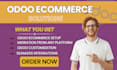 deploy customize develop odoo module consultation odoo ecommerce odoo website