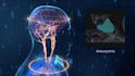create 3d medical animation, medical explainer, surgery