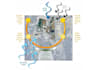 make architectural diagram, site analysis and mapping