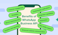 setup whatsapp business API for bulk whatsapp messages marketing chat automation