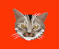 draw your pet into an cute potrait