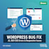fix wordpress bug in SEO, js, HTML, CSS, responsive issues