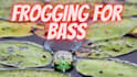 grow your youtube channel