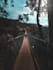 create cinematic edits for your favorite pictures