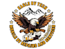 design awesome eagle logo