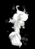 create a dark fantasy illustration