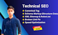 wordpress onpage seo for better ranking and technical fixes