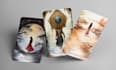 design tarot and oracle cards with stunning illustrations