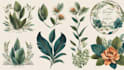 design botanical boho, boho, vintage logo