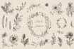 design a hand drawn botanical boho logo