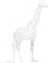 create a simple line art animation from your image