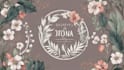 design a digital art botanical boho logo