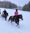 ride a horse photo or video