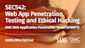 teach you kali linux and penetration testing