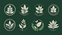 design modern botanical boho logo design