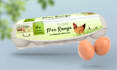 do egg box and packaging design
