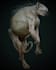 sculpt and design 3d monster, alien and creature character models