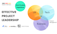 be the product owner for your project