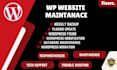 fix, maintain, and optimize your wordpress website 24x7