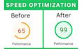 speed up  wordpress website speed optimization google pages