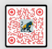 create a professional qr code design with your logo