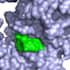 do molecular docking and drug designing