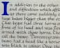 create medieval calligraphy of your text