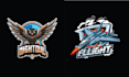 design creative mascot aviation logo