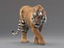 create 3d cgi animal model, rigging and animation, cgi vfx