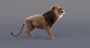 do 3d animal animation, 3d animal model, 3d animal character design, 3d models