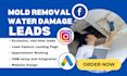 mold remediation mold removal water damage leads google ads mold removal leads