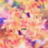 create an animated album cover for you