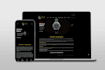 design or redesign a professional wordpress website