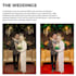 enhance and retouch your photos to perfection