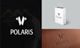 make professional logo designs with lasting impact