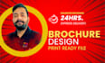 design a professional company brochure, booklet, or catalog