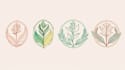 design botanical boho minimalist logo design