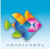 do graphic designing, photo edit, videography, logo making