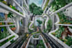 design and illustrate environmental art