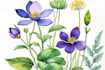 make a botanical watercolor illustration