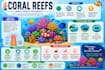 create custom infographics for posters, and social media