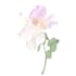 illustrate delicate a floral clipart and illustrations