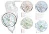create impressive architectural collage style diagrams