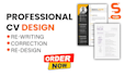 write professional resume and cover letter or CV